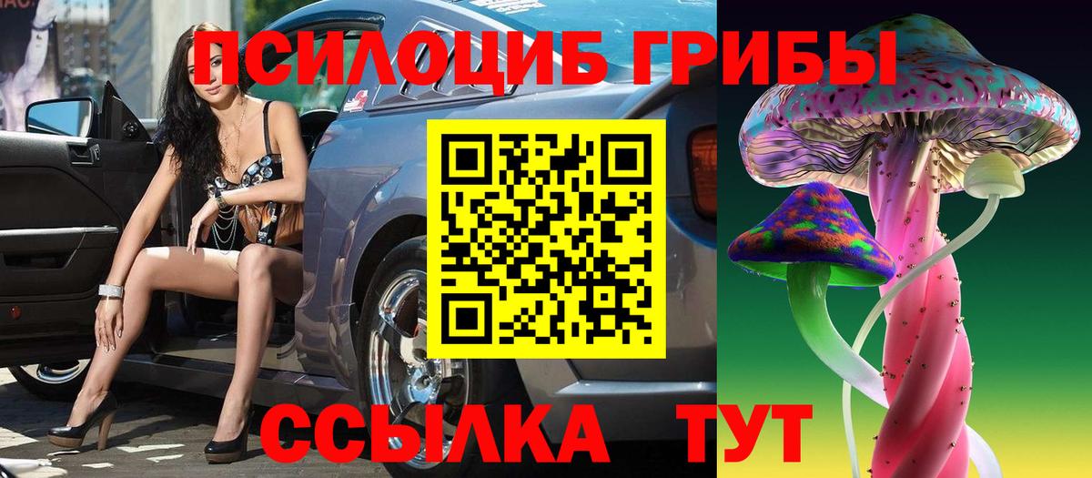 Псилоцибиновые грибы MAGIC MUSHROOMS Ачхой-Мартан