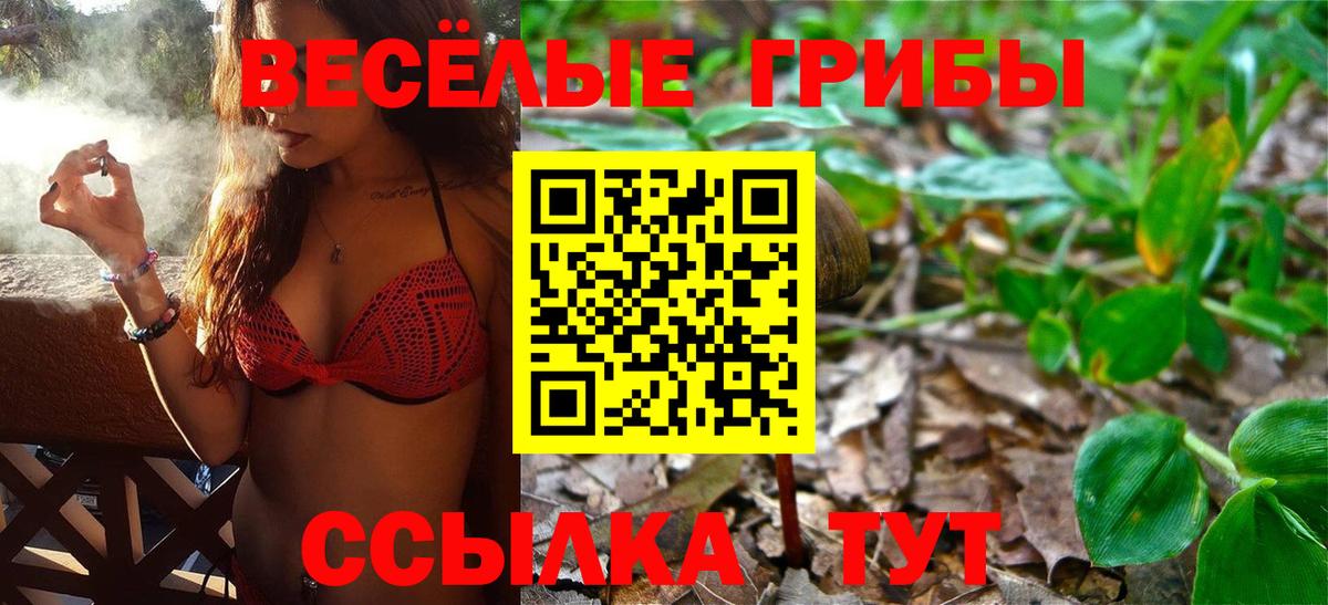 Галлюциногенные грибы мухоморы  Псилоцибиновые грибы мицелий  Вход с VPN  Ачхой-Мартан 